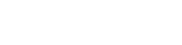 Nirvana logo white