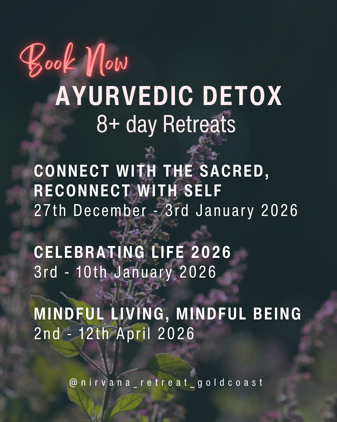 Ayurvedic detox retreat dates at nirvana wellbeing centre