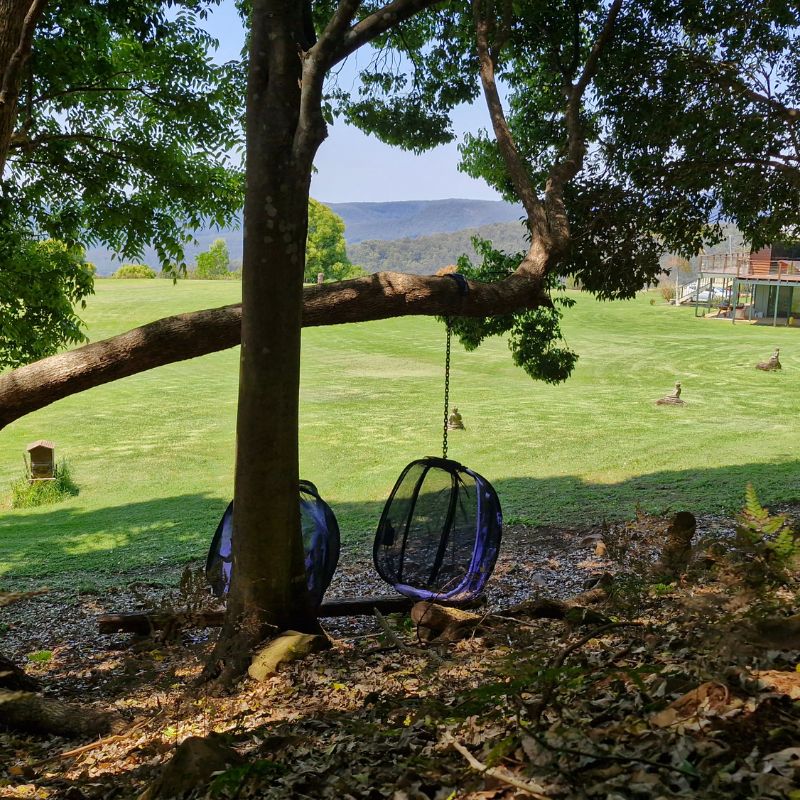 hanging swings at nirvana
